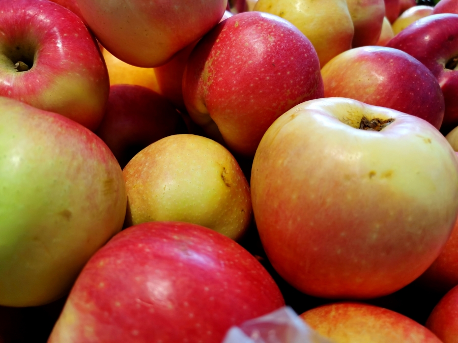【食品科学与技术】保护古老品种抵御苹果病虫害